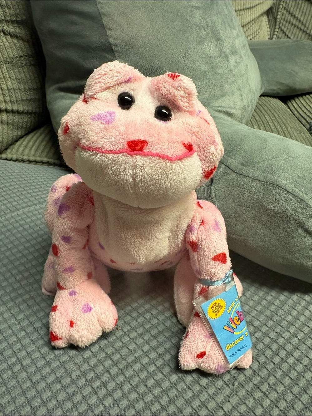 Ganz 2006 retired “Love Frog” Webkinz with In tact code